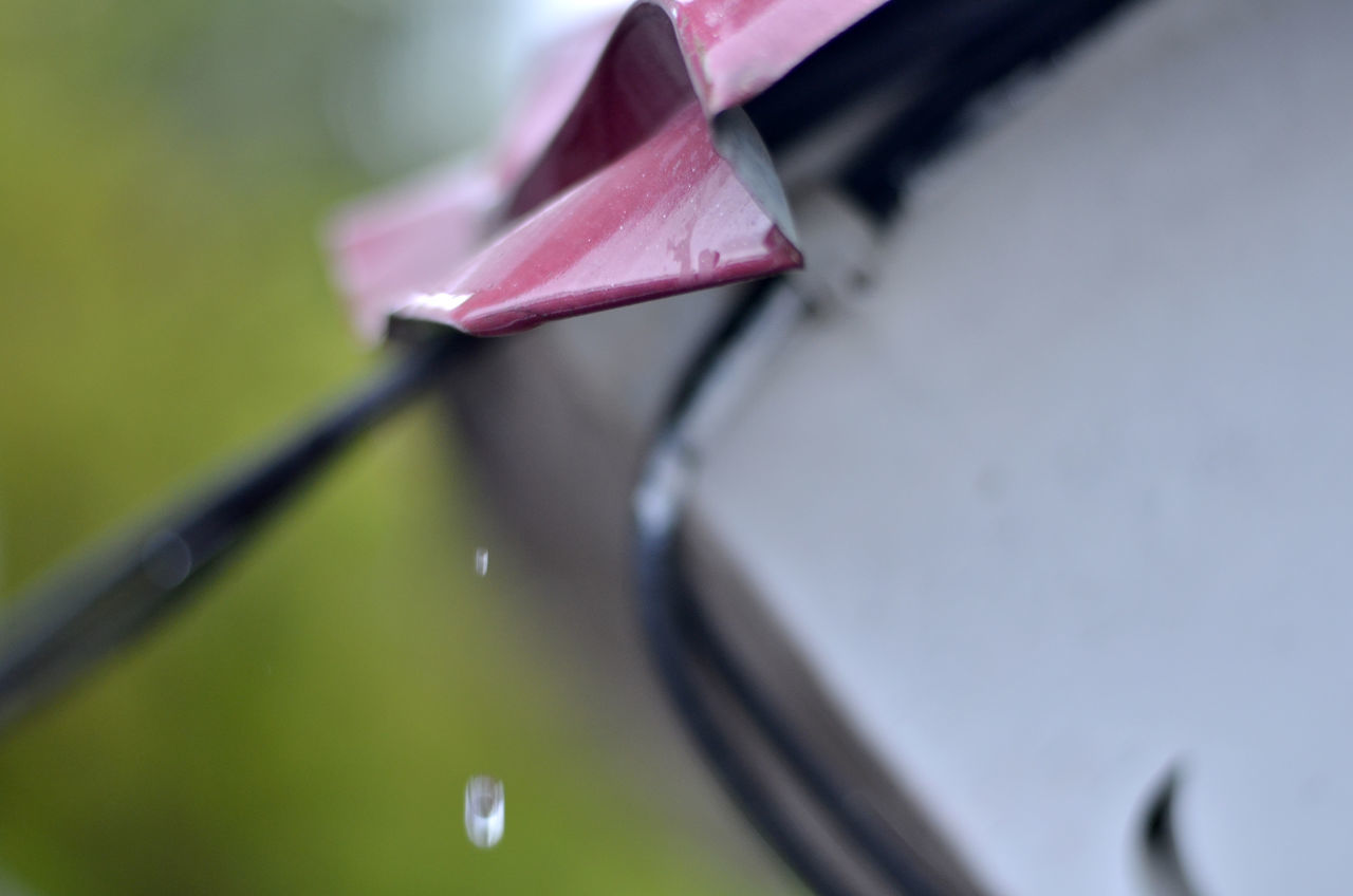 close-up, macro photography, no people, selective focus, water, flower, pink