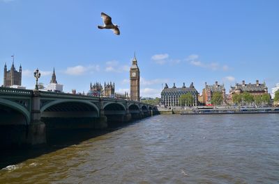 View of arch bridge over river