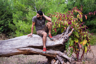 Full length of young man sitting on fallen tree in forest