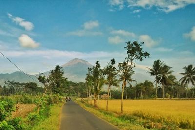 Road amidst trees on field against sky