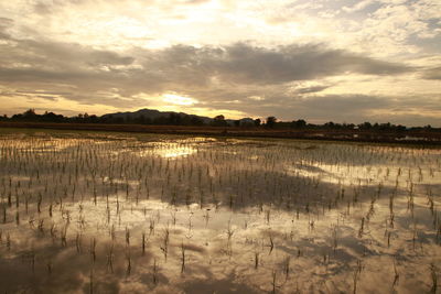 Scenic view of lake against sky during sunset