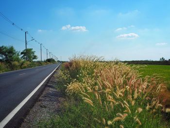 Road amidst field against sky