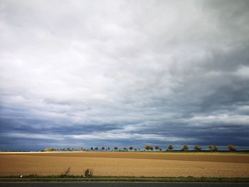 Scenic view of agricultural field against sky