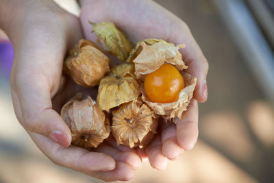 Close-up of hand holding gooseberry 