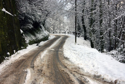 Snow covered road amidst trees in forest