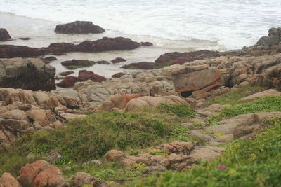 Rocks on shore by sea