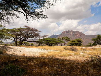 Scenic view of landscape against sky