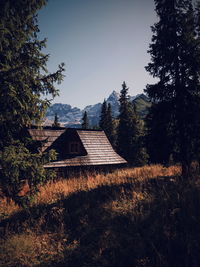 Houses on field by trees against sky