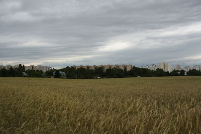 Scenic view of field against cloudy sky