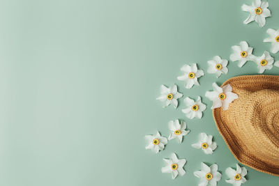 Summertime collection concept flat lay on green background with straw hat, flower heads of daffodil