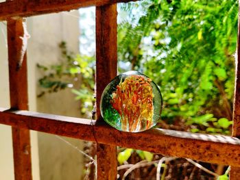 Close-up of rusty metal