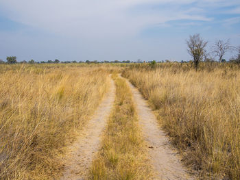 Empty road amidst grassy field against sky