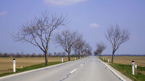 Empty road amidst bare trees against sky