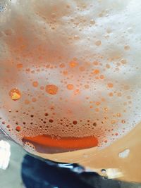 Close-up of beer in water