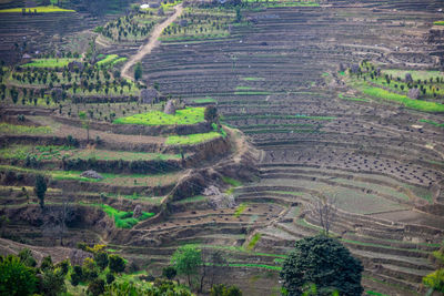 High angle view of a farm