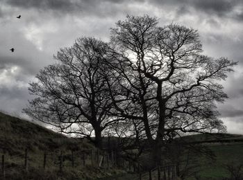 Low angle view of bare trees against cloudy sky