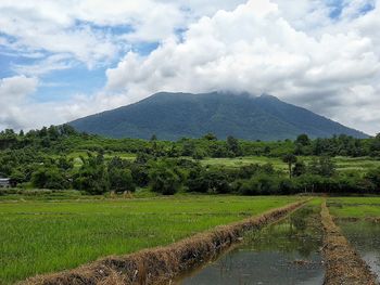 Scenic view of landscape against sky