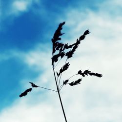 Low angle view of silhouette birds flying against sky
