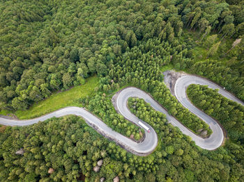 High angle view of road amidst trees