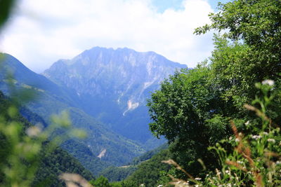 Scenic view of tree mountains against sky