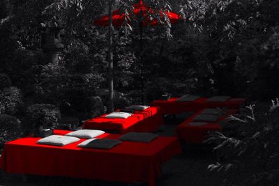 Close-up of red flower