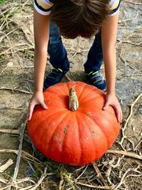 Close-up of boy holding pumpkin while standing on field