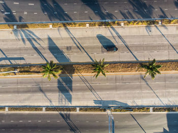 High angle view of trees amidst roads