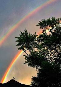 Low angle view of rainbow over trees