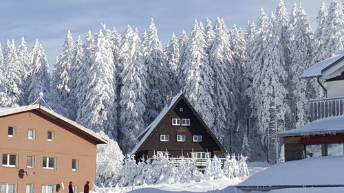 Snow covered houses and trees against sky