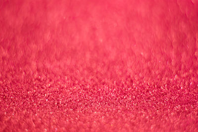 Full frame shot of pink petals