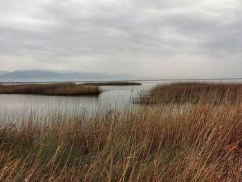 Scenic view of lake against sky