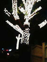 Close-up of christmas decoration