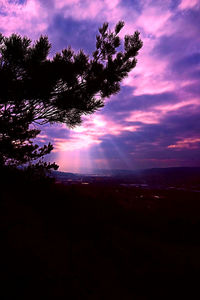 Silhouette tree against sky during sunset