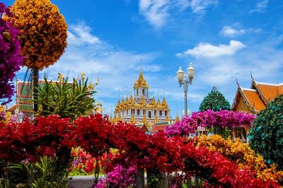 Low angle view of flowering plants against building