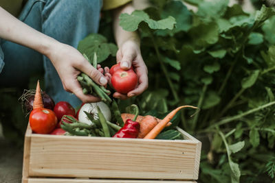 Midsection of man holding tomatoes