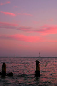 Scenic view of sea at sunset