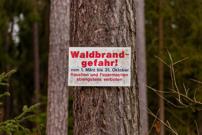 Close-up of warning sign on tree trunk