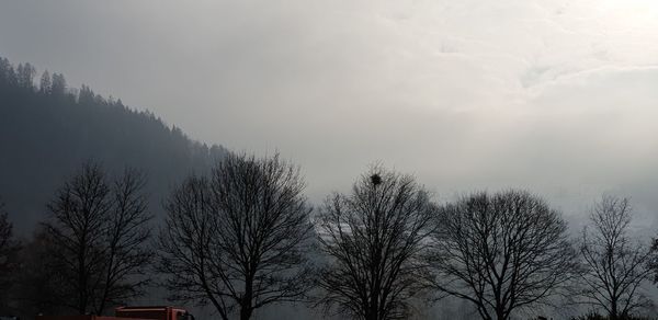 Low angle view of bare trees against sky