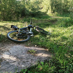 Bicycle on field