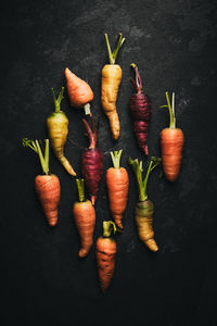 Directly above shot of carrots over black background