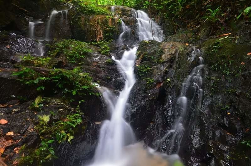 waterfall, water, land, motion, forest, tree, long exposure, beauty in nature, rock, solid, scenics - nature, plant, no people, rock - object, nature, blurred motion, environment, flowing water, outdoors, rainforest, flowing, falling water, power in nature