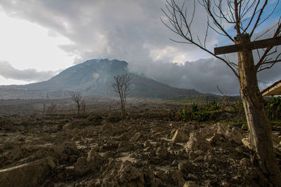 Scenic view of landscape and mountains against sky