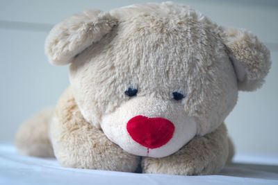 Close-up of stuffed toy