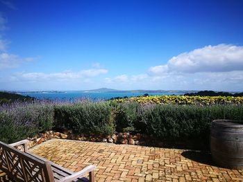 Scenic view of blue and plants against sky