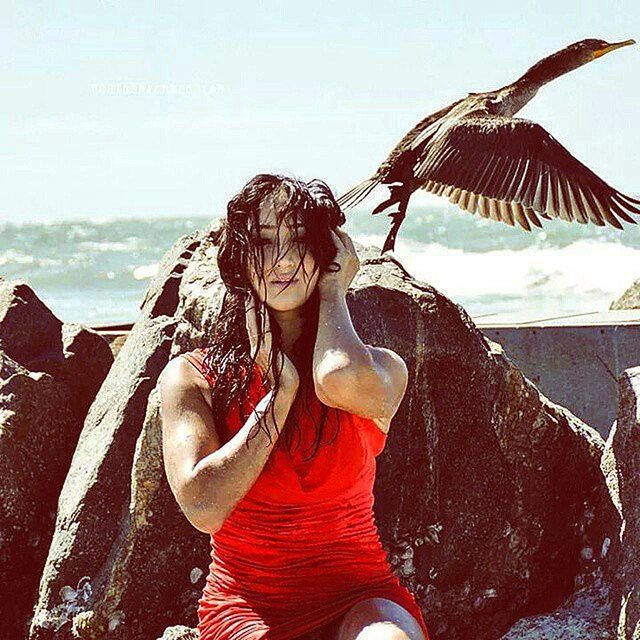 animal themes, animals in the wild, water, one animal, one person, sea, wildlife, bird, day, animal representation, clear sky, nature, outdoors, rear view, fish, close-up, beach, full length, focus on foreground, rope