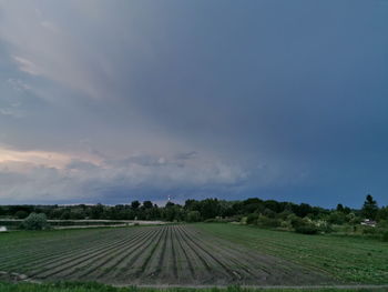 Scenic view of agricultural field against sky