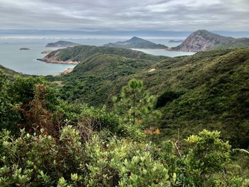 Scenic view of green landscape and mountains against sky
