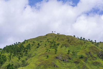 Low angle view of horse on mountain against sky