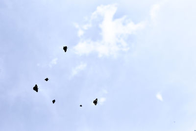 Low angle view of birds flying in sky