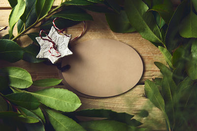 Close-up of decoration and leaves on table